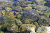 Kläppudden
