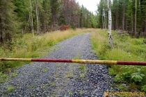 Lindfallet