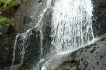 Lindfallet