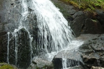 Lindfallet