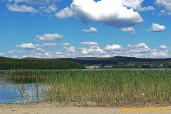 Lomsjön