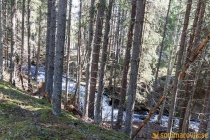 Nässjöbäcken 2019