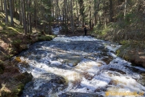 Nässjöbäcken 2019