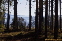 Nässjöbäcken 2019