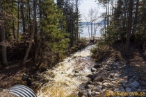 Nässjöbäcken 2019