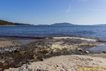 Nässjöbäcken 2019