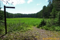 Norrfällsviken