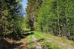 IMG_20220521_130438