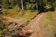IMG_20220521_131312