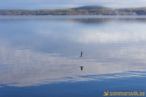 Örnsköldsvik