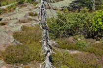 Skuleberget