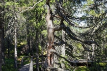 Skuleberget