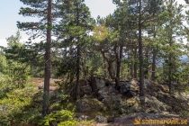 Skuleberget