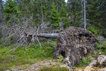 Skuleberget
