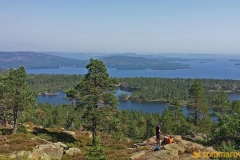 Skuleskogen