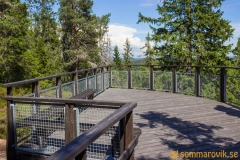 Skuleskogen