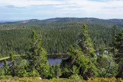 Skuleskogen