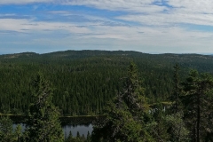 Skuleskogen