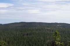 Skuleskogen