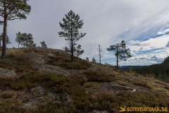 Skuleskogen