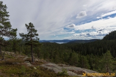Skuleskogen