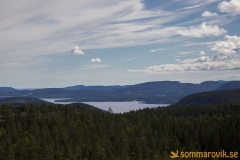 Skuleskogen