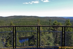 Skuleskogen