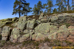 Skuleskogen