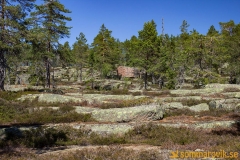 Skuleskogen