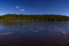 Skuleskogen