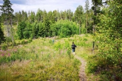 vardkasberget_2020-05