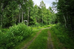 vardkasberget_2020-06 vardkasberget_2020-06