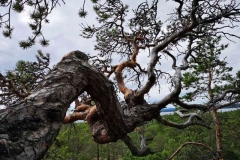 vardkasberget_2020-09