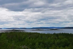 vardkasberget_2020-13