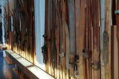 Västerbottens museum