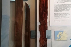 Västerbottens museum