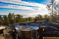 vikbottberget_2018-05