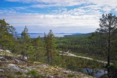 vikbottberget_2022-03