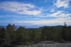 vikbottberget_2022-05